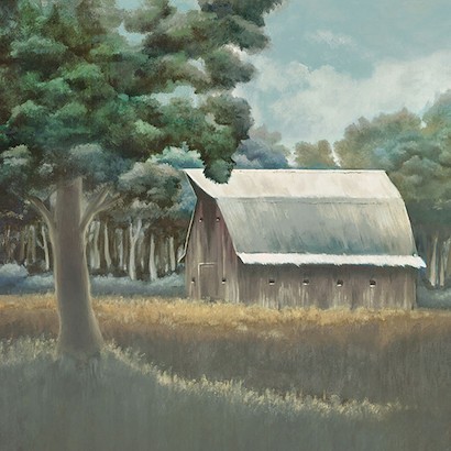 40 x 40 Vacant Barn (IBG)