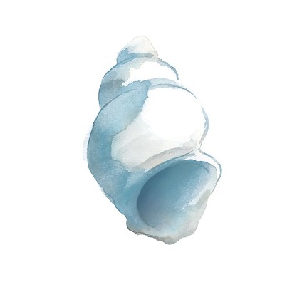 20 x 20 Blue Seashells I (IBG)