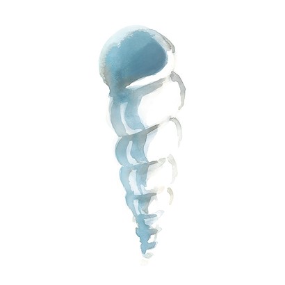 20 x 20 Blue Seashells III (IBG)
