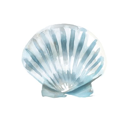 20 x 20 Blue Seashells IV (IBG)