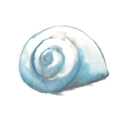 20 x 20 Blue Seashells VI (IBG)
