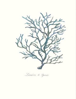 24 x 32 Sea Forest III (IBG)