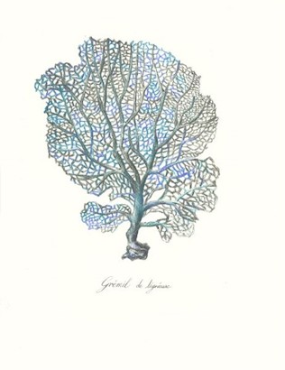 24 x 32 Sea Forest IV (IBG)