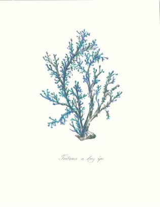 24 x 32 Sea Forest V (IBG)