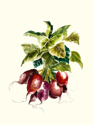 18 x 24 Scent of Nature I (IBG)