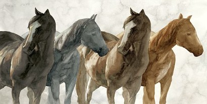 75 x 40 Cavallo (KG)