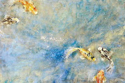 60 X 40 Butterfly Koi (IBG)