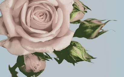 60 x 40 Vintage Florals  A (IBG)