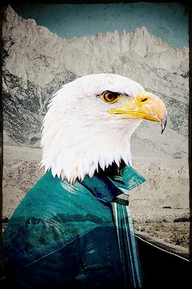 30 x 40 Free Spirit B (IBG)
