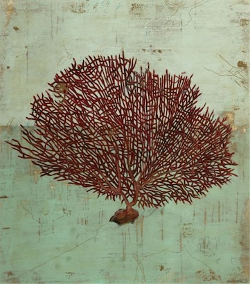 30 x 34 Red Sea Fan (IBG)