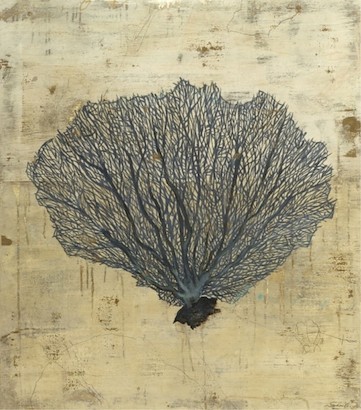 30 x 34 Sea Fan (IBG)