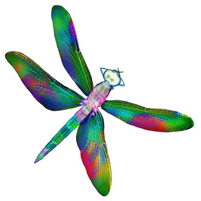 24 x 24 Dragonfly (MT)