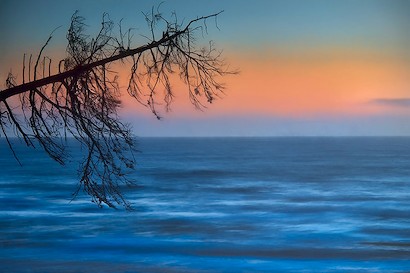 54 x 36 Seascape with Tree (IBG)