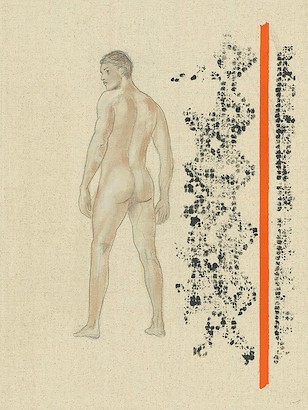 30 x 40 Adonis Study I (IBG)