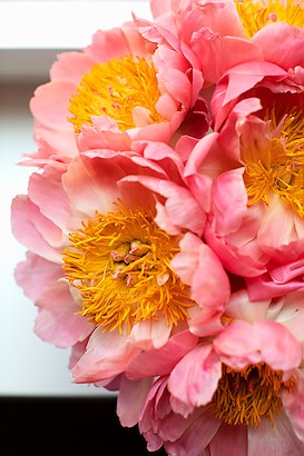 30 x 45 Pembe Cicek I (IBG)