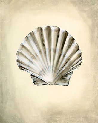 24 x 30 Seashells IV (IBG)