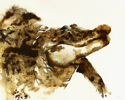 50 x 40 Croc (IBG)
