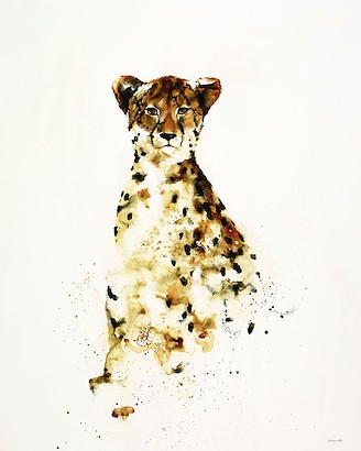 40 x 50 Cheetah (IBG)