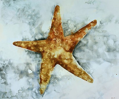 24 x 20 Starfish (IBG)