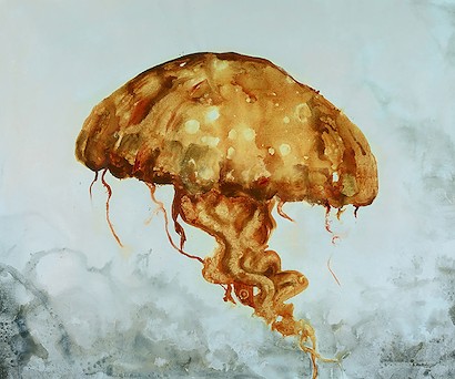 24 x 20 Jellyfish (IBG)