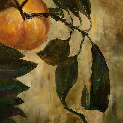 36 X 36 Vine Ripe (IBG)