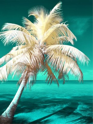 36 x 45 Blue Hawaii II (MT)