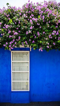 30 x 53 Cartagena Window V (IBG)