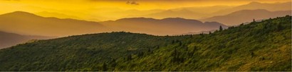60 x 15 Golden Hour (MT)