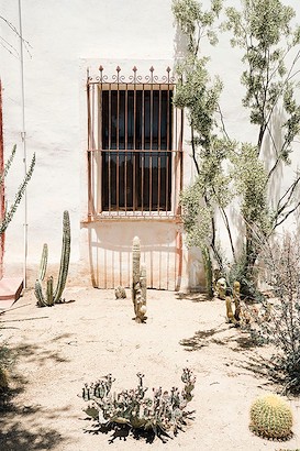 40 x 60 Desert Window (IBG)