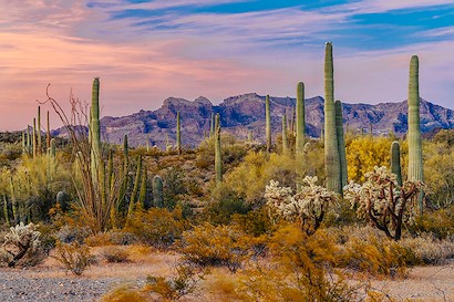 60 x 40 Dusk in the Desert (IBG)