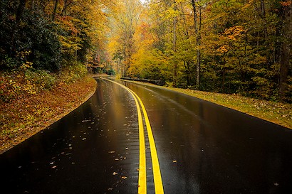 60 x 40 Autumn Drive (IBG)