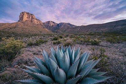 36 x 24 Texas Dreams (IBG)