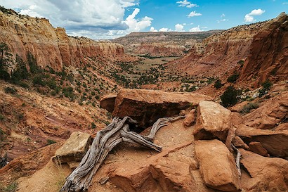 36 x 24 Ghost Ranch I (IBG)