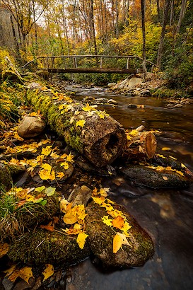 40 x 60 Autumn in the Smokies (IBG)