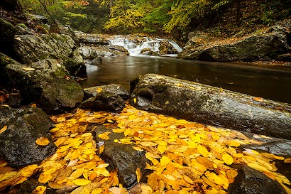 60 x 40 The Falls of Fall (IBG)