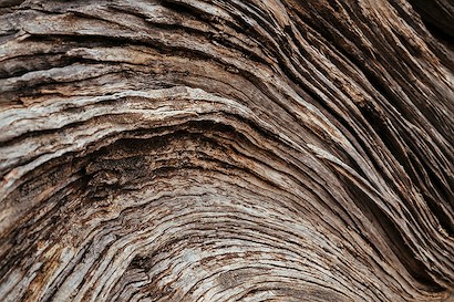 36 x 24 Wave of Grain (IBG)