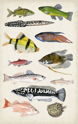 24 x 38 Antique Aquarium I (IBG)