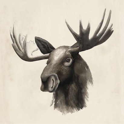 24 x 24 Western Animal II (IBG)
