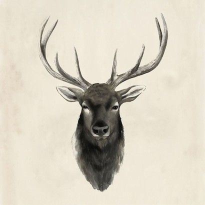 24 x 24 Western Animal IV (IBG)