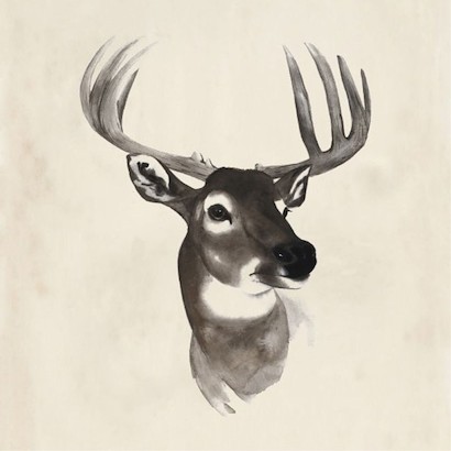 24 x 24 Western Animal V (IBG)