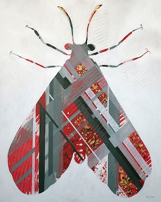 24 x 30 Plaid Insect (IBG)