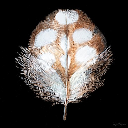 24 x 24 La Plume Grand (IBG)