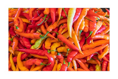 45 x 30 Colored Peppers (IBG)