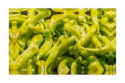 45 x 30 Green Peppers (IBG)
