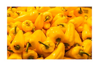 45 x 30 Yellow Peppers (IBG)