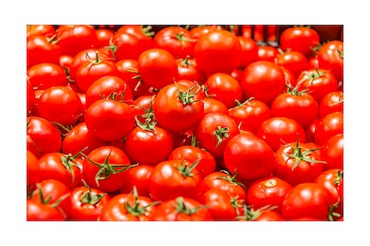 45 x 30 Tomatoes (IBG)