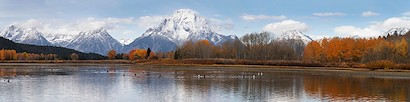 60 x 15 Last Days of Fall (MT)