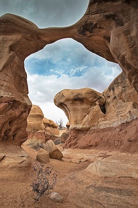 40 x 60 Inside the Devil's Garden (IBG)