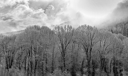 60 x 36 Panorama (IBG)