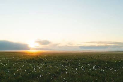 60 x 40 Field (Langanes, Iceland) (IBG)